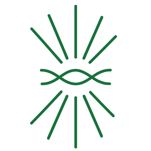 homecomingpilgrimages.com